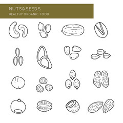 Nuts and Seeds vector line design