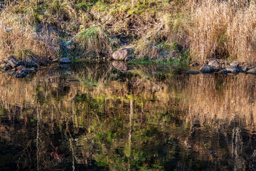 forest river with rocky gulf and waterfalls