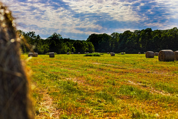 HDR Photo of Sraw Bales on the field with clouds and blue sky.