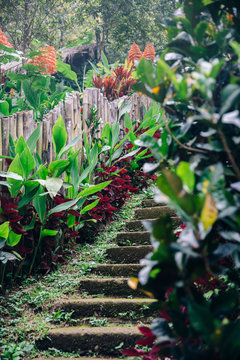 Old stony stairs at Gitgit Waterfall on Bali island, Indonesia