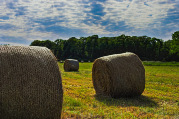 HDR Photo of Sraw Bales on the field with clouds and blue sky.