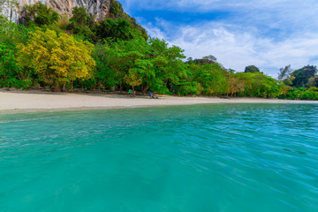 Hong Islands,Beautiful tropical sandy beach and lush green foliage on a tropical island ,thailand