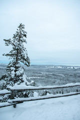 Lapland Winter