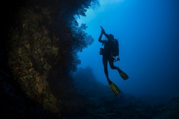Naklejka na ściany i meble Ocean and scuba diving