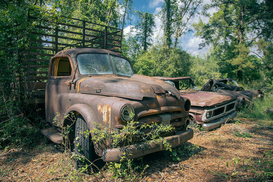 Roadside rusted old Ford trucks and cars in Florida
