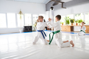 Children smiling while learning aikido movements at the lesson