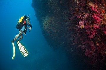 Ocean and scuba diving