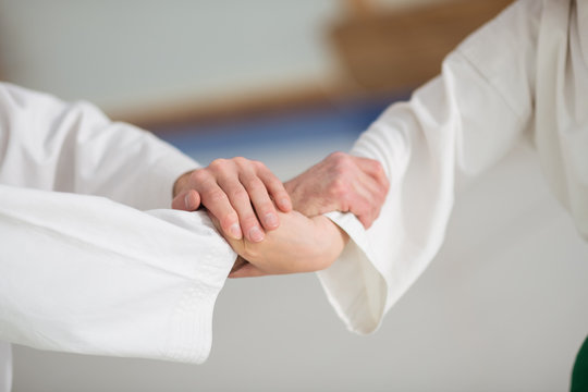 Boy and aikido teacher shaking hands before starting fight