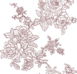 botany biology berries branches leaves line graphics beautiful sketching Vector graphics