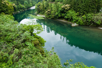 Fototapeta na wymiar A river of Green Shikoku Island - 緑豊かな四国jの川