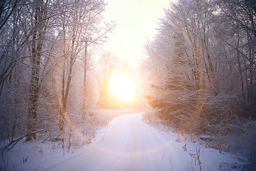 sunset in the winter forest / February sunset in the park, snow forest and sun, winter rest