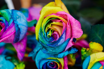 Obraz na płótnie Canvas Multi colored dyed roses at flower shop 