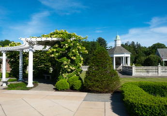 Trellis and gazebo with greenery under a deep blue sky