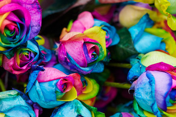 Obraz na płótnie Canvas Multi colored dyed roses at flower shop 