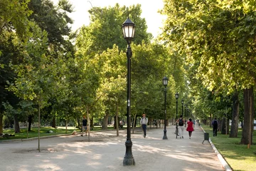 Fototapete Santiago, Region Metropolitana, Chile - People walking in the Forestal Park, the more traditional urban park in the city. © Jose Luis Stephens