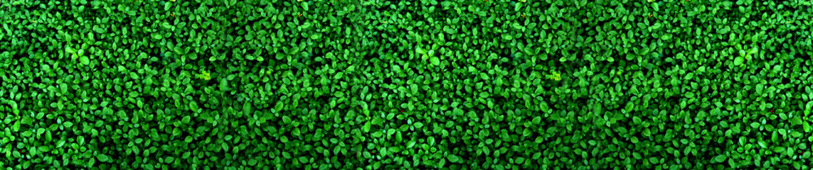 Panele Szklane  tropikalny zielony liść, kontrast