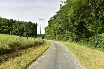 Fototapeta na wymiar Route de campagne étroite entre bois et prairies entre les bourgs de Champagne et Vendoire au Périgord Vert