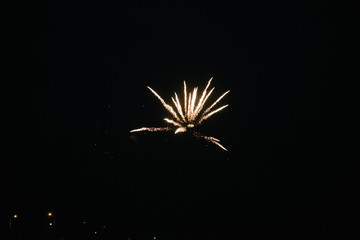 Fireworks in the night sky. Multicolored fireworks at night