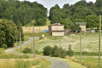 Fototapeta na wymiar Route de Campagne vers l'un des hameaux de la commune de Vendoire au Périgord Vert