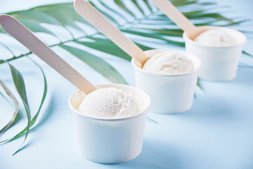 Row of vanilla ice cream and palm leaf on the blue background