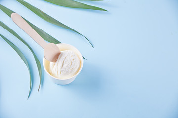 Vanilla ice cream and palm leaf on the blue background