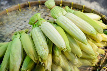 Boiled Corn. Local street food in Thailand