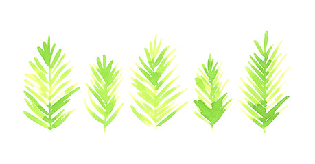 Obraz premium Hand painted watercolour plants for creative design of posters, cards, invitations.