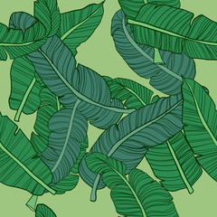 Banana leaf seamless pattern green 