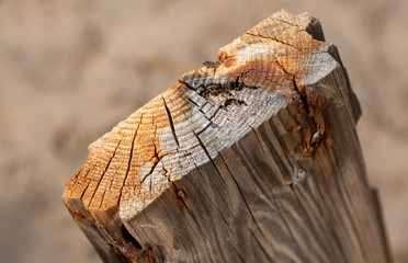 Wooden boat wreck
