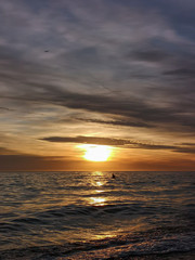 Obraz premium a dazzling dawn crossing the sea