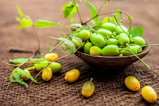 Azadirachta indica, commonly known as neem, nimtree or Indian lilac, on jute bags surface along with its fruit in a clay bowl.Used for its medicinal properties and much more.Horizontal shot.
