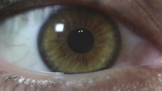Green-brown eye of a beautiful young girl close-up. Blinking and constriction of the pupil. Macro shooting