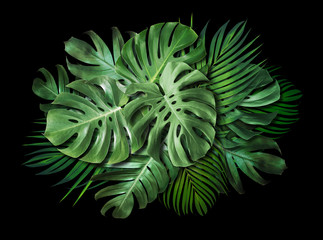 Tropical leaves on black background with copy space Summer banner design