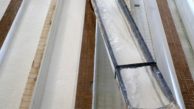 the fresh latex is dumped into the small ponds ( close up)