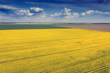 Agricultural fields in spring time.