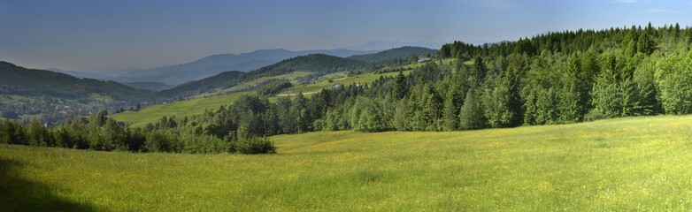 Fototapeta na wymiar Przełęcz Słopnicka - Beskid Wyspowy - Widok na Beskid Sądecki, Gorce, Pieniny i Tatry