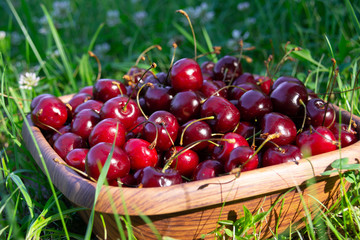 Cherries in a bowl