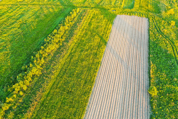 Plowing land furrows for planting agronomical plants among the countryside of grass and meadows...