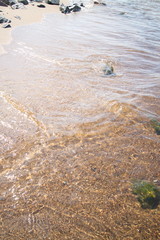 coastal granite stones washed by the waves