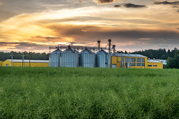 agro-processing plant for processing and silos for drying cleaning and storage of agricultural products, flour, cereals and grain with beautiful clouds