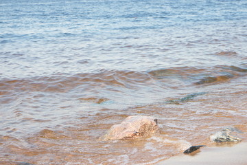 coastal granite stones washed by the waves