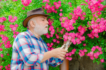 Happy farmer in cowboy hat having fun on field. Retirement planning. Grandfather. Gardener cutting flowers in his garden.