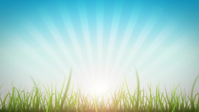 Grass Leaves On Beautiful Sky Background Loop/ 4k animation of a loopable beautiful nature background with blades of grass moving with the wind and lens flare for shining sun effect
