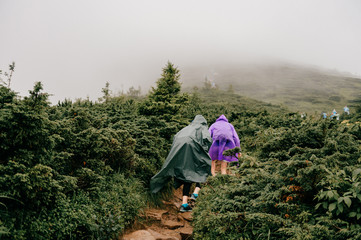 Hiking. Backpackers hiking up the foggy mountains. Mountain trekking. Men with backpacks on trek.