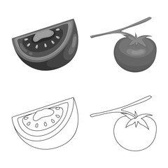 Vector design of vegetable and delicious sign. Set of vegetable and natural vector icon for stock.