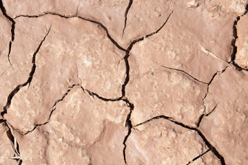 Mud crack,Brown cracked ground texture or background.