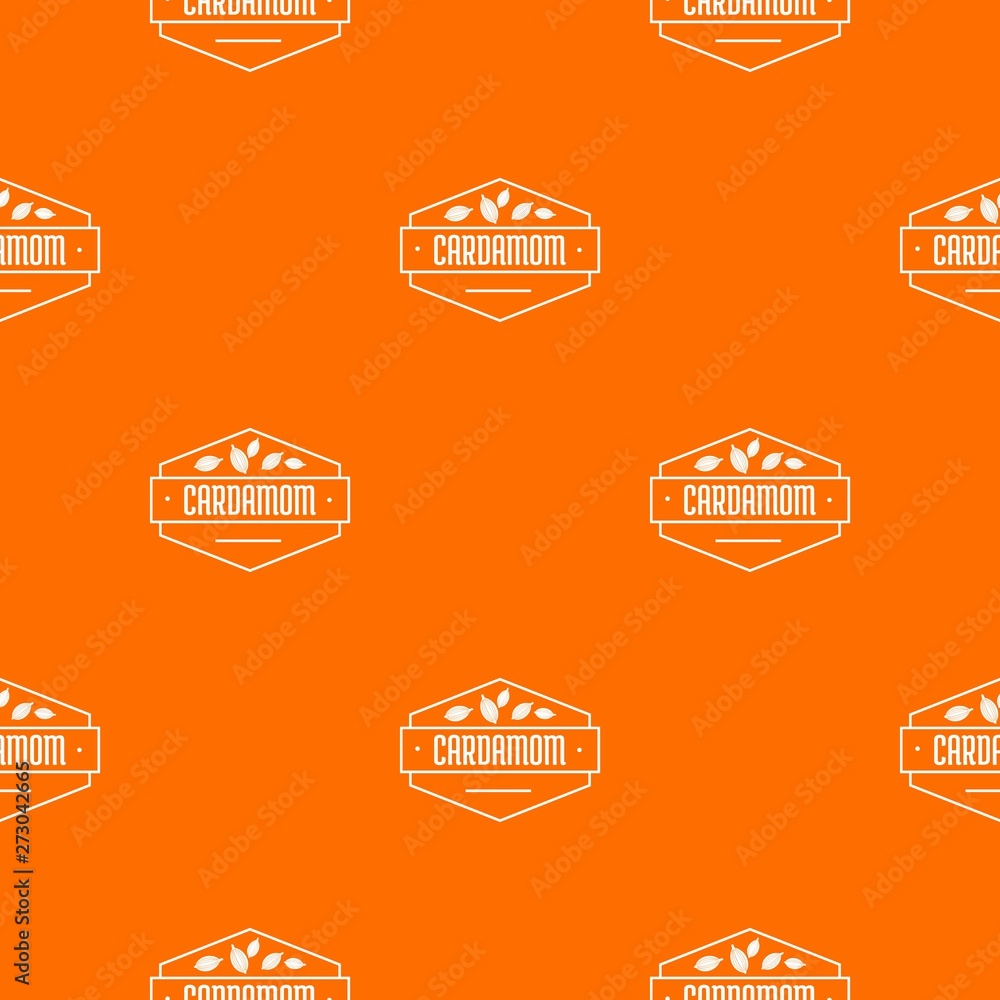 Poster cardamom pattern vector orange for any web design best