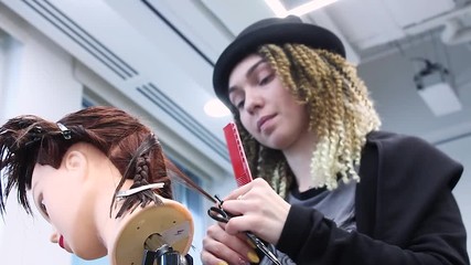 stylist carefully combs hair on mannequin head, practices and training new skills, hairdresser education workshop, bottom view  