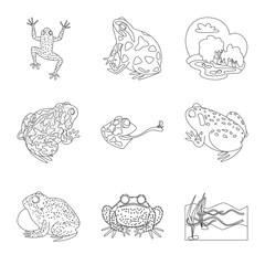 Vector illustration of amphibian and animal symbol. Collection of amphibian and nature stock vector illustration.