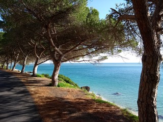 Fototapeta na wymiar Beautiful and quiet spot - Portugal sea